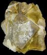 Quartz Encrusted Yellow Cubic Fluorite Cluster - Morocco #44855-1